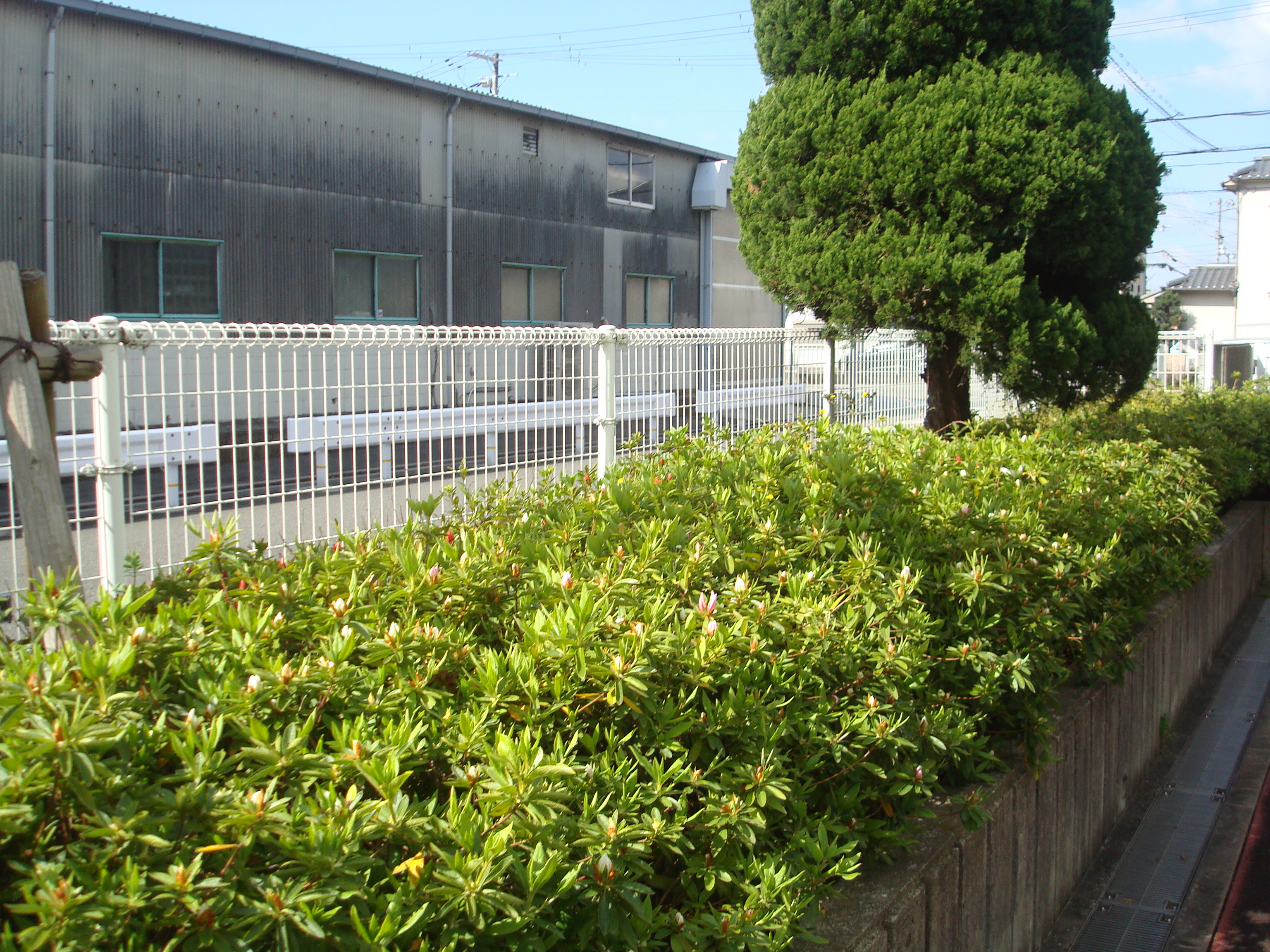 https://www.kawamura-gishi.co.jp/showroomblog/%EF%BE%8C%EF%BE%9E%EF%BE%9B%EF%BD%B8%EF%BE%9E%E7%94%A820200324%20004.jpg