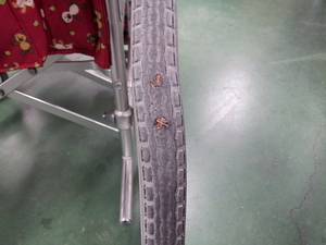 20120427_132822.jpg